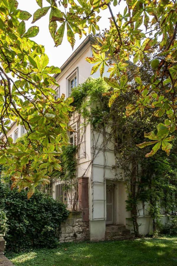 Ferienwohnung Am Dom Naumburg  Dış mekan fotoğraf